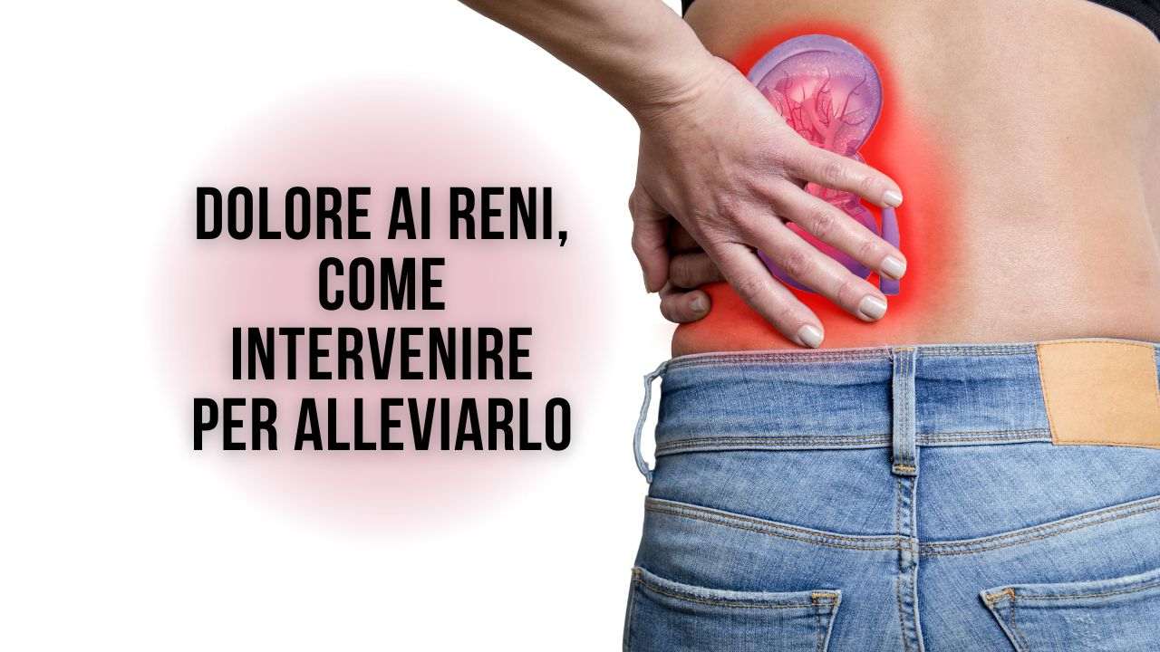 dolore schiena reni