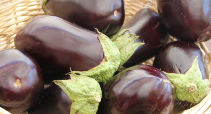 Ricetta sfiziosa con bucce di melanzane