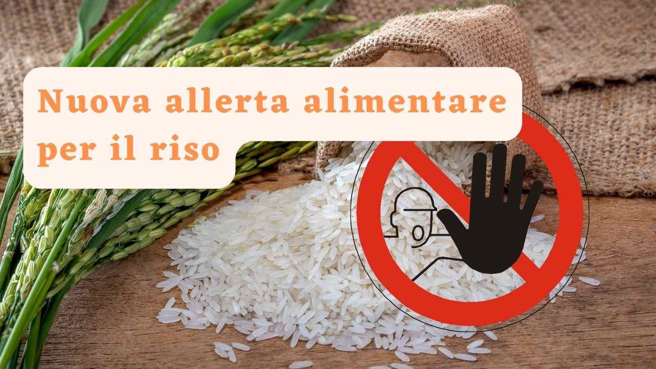 allerta alimentare riso