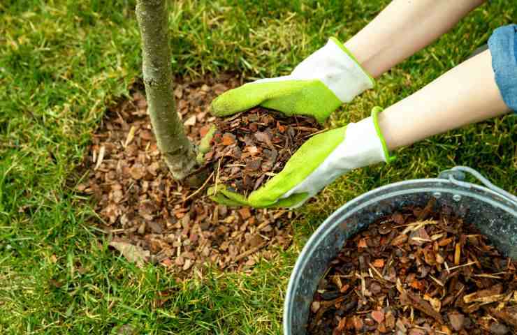 curare giardino febbraio