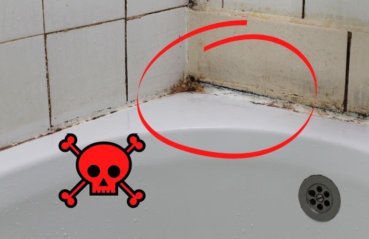 10 Giocattoli Da Bagno Per Bambini Senza Muffa – Annaffiatoio, Barchette Squalo, Tazze Impilabili E Ruota Idraulica – Giochi Acquatici Per Vasca E Piscina