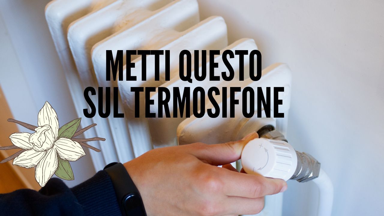 Termosifone