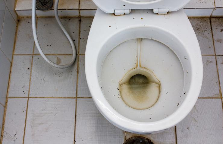 Una tazza del WC sporca