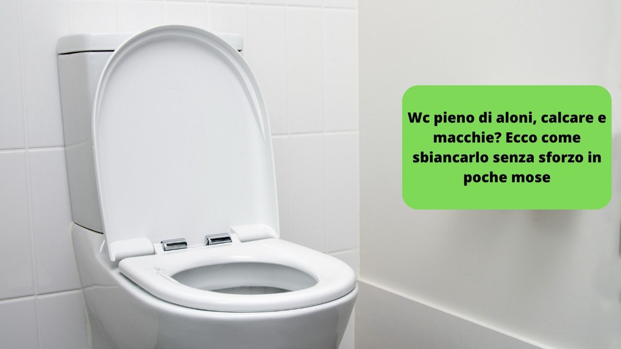 wc come sbiancarlo in poche mosse