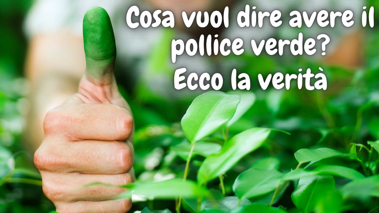 perché si dice pollice verde