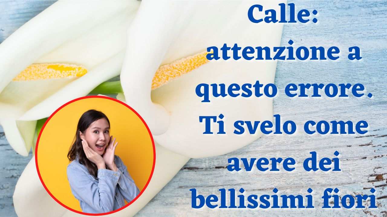 calle come coltivarle