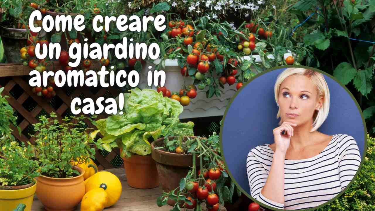 piante aromatiche vaso