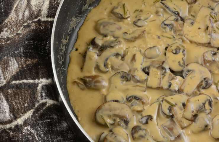 preparazione salsa ai funghi