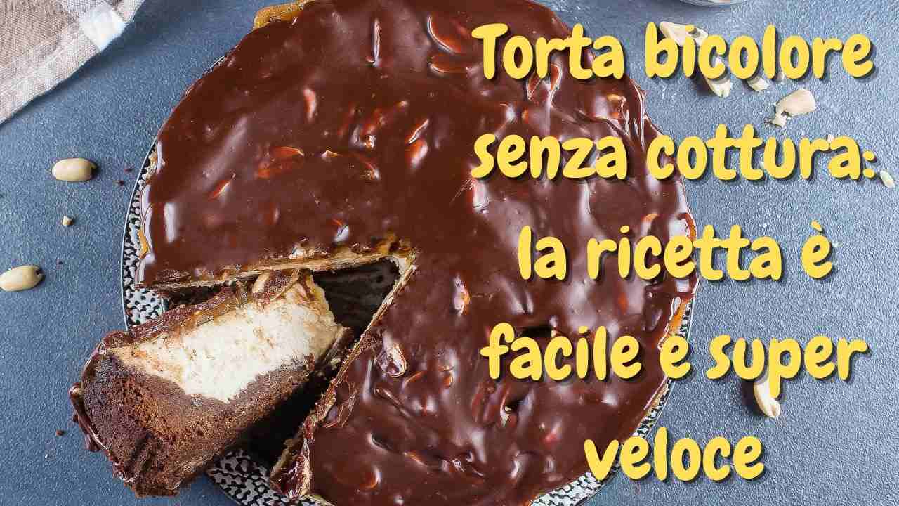 preparare torta bicolore