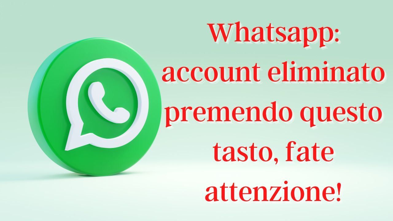 account whatsapp