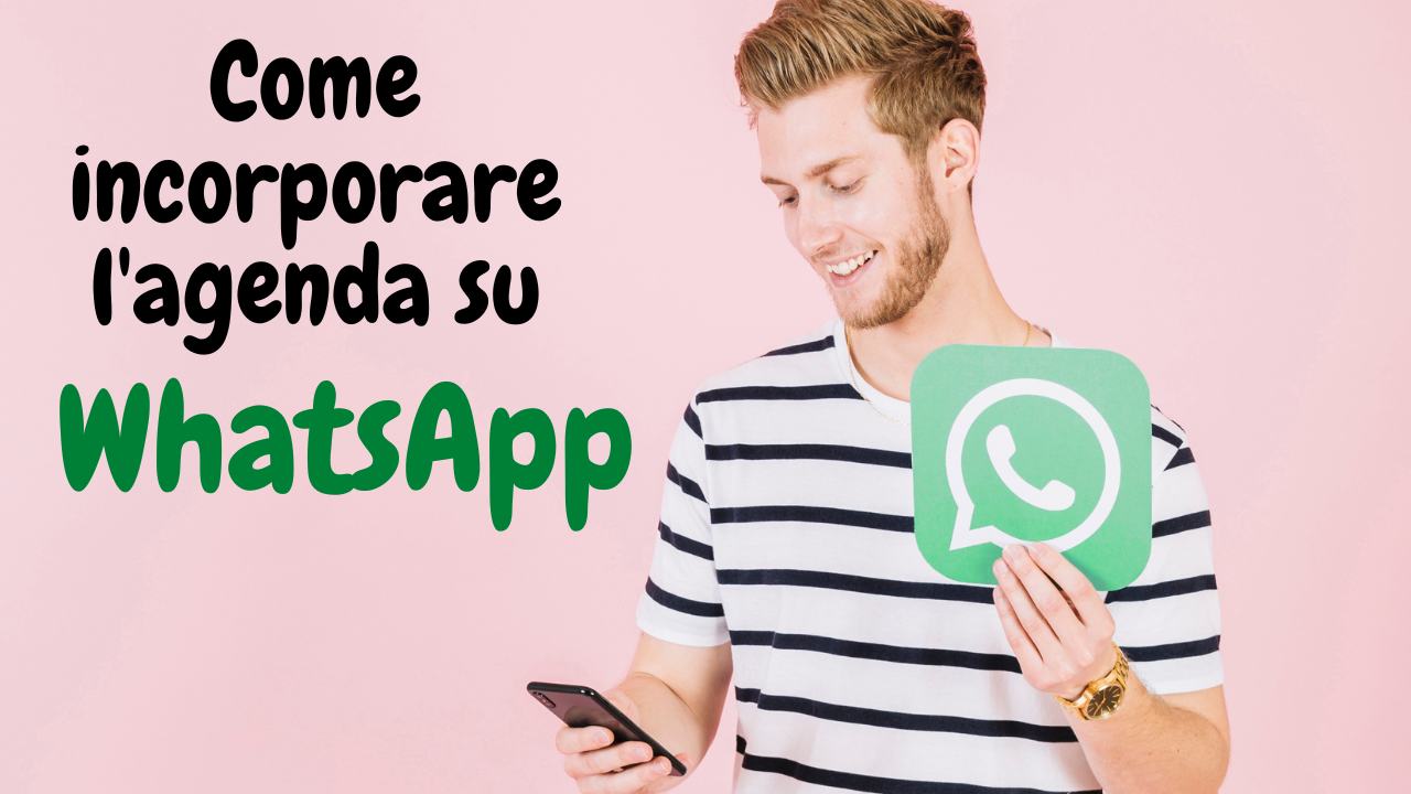 agenda whatsapp