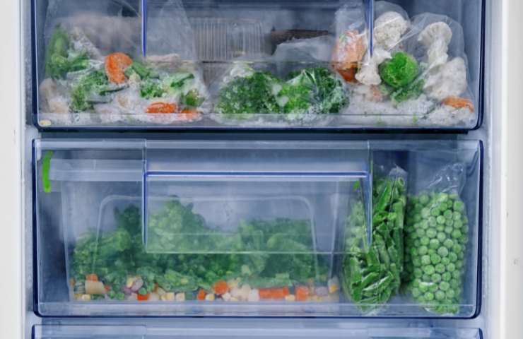 Alimenti riposti ordinatamente in un freezer