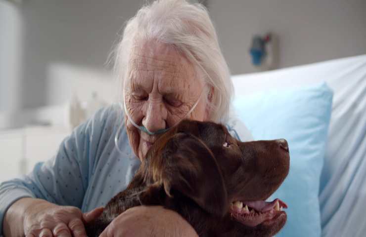 Anziana signora cane pet therapy