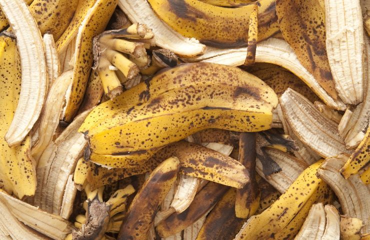 Déchets de banane