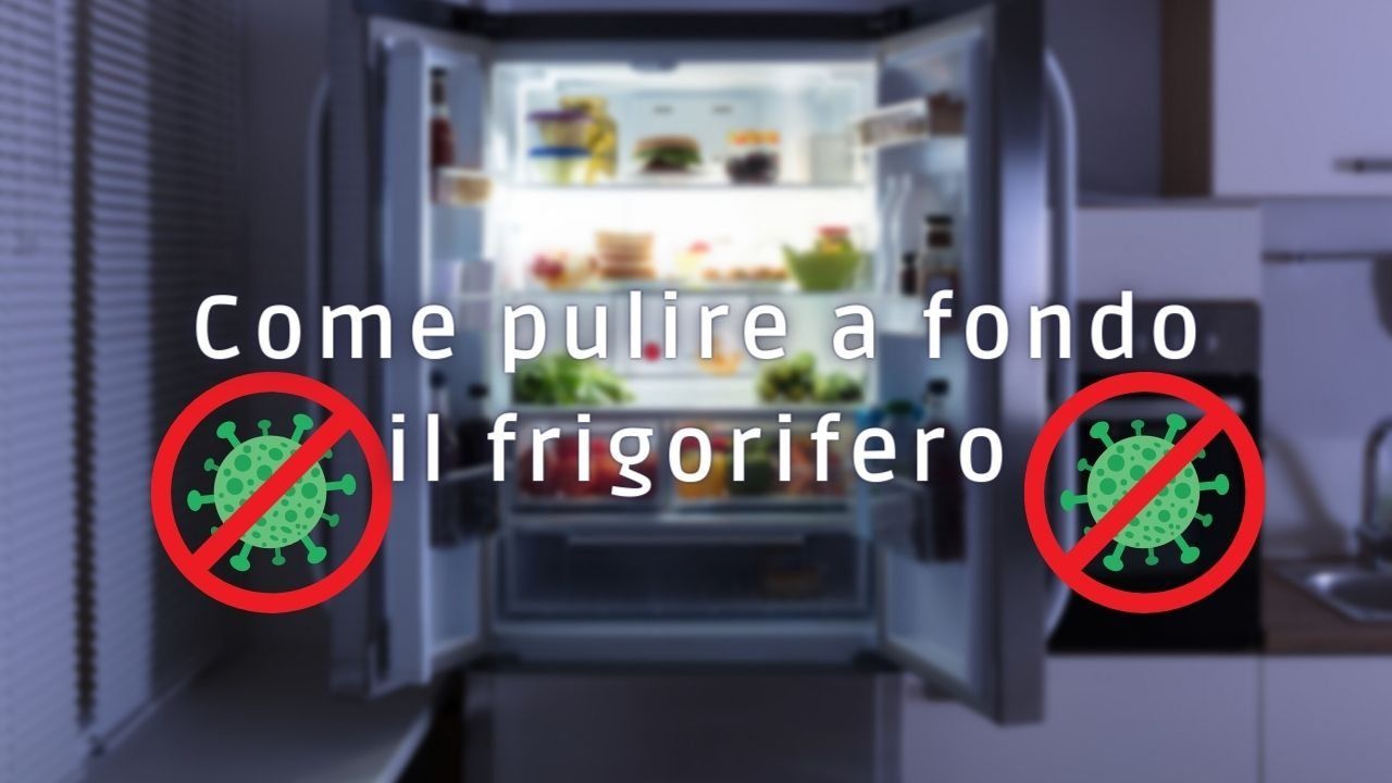 frigorifero germi batteri