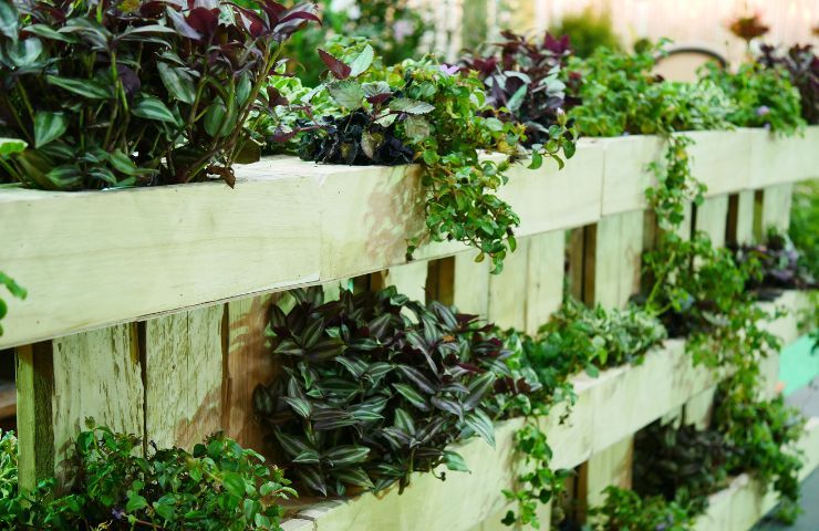 Creare un giardino verticale