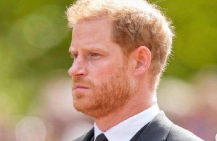 Il Duca del Sussex in posa solenne