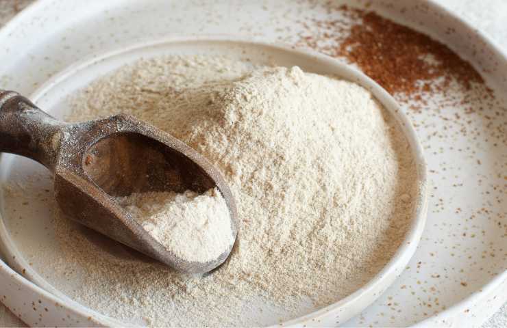 La farina di teff