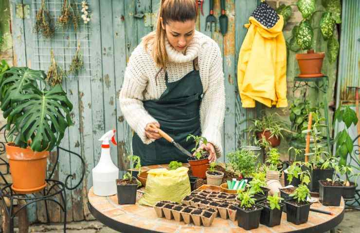 lavori da fare in giardino a febbraio