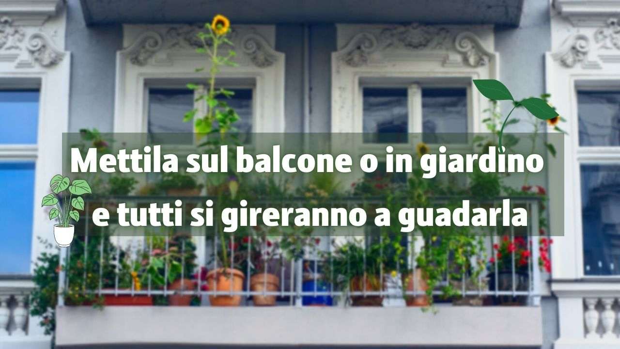 balcone giardino