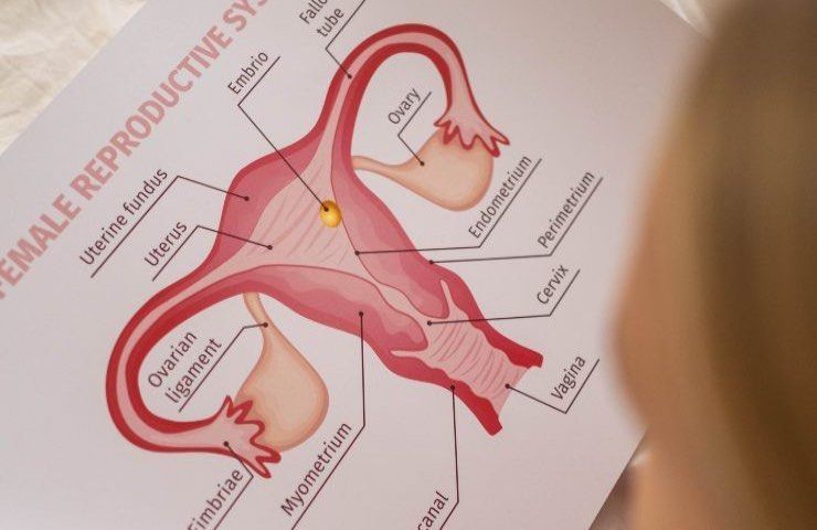 Perdite vaginali, cosa sono e quando preoccuparsi