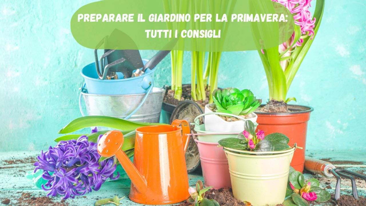 Primavera fiori giardino