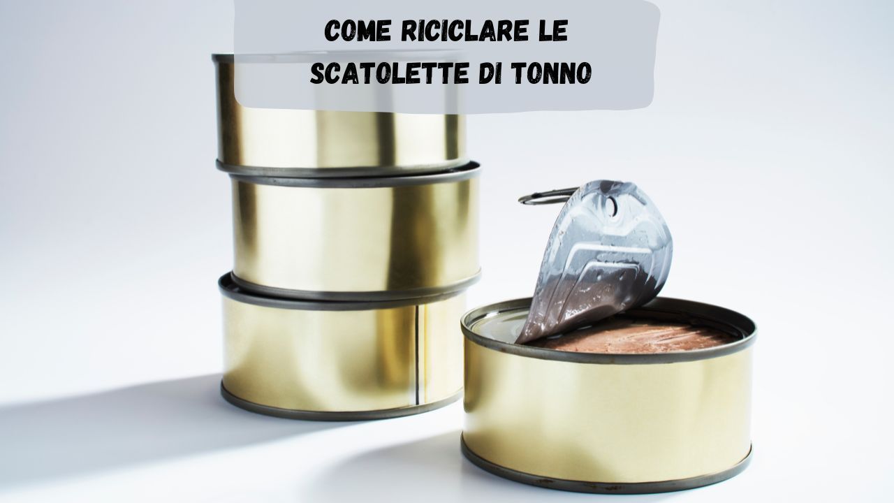 Contenitori tonno