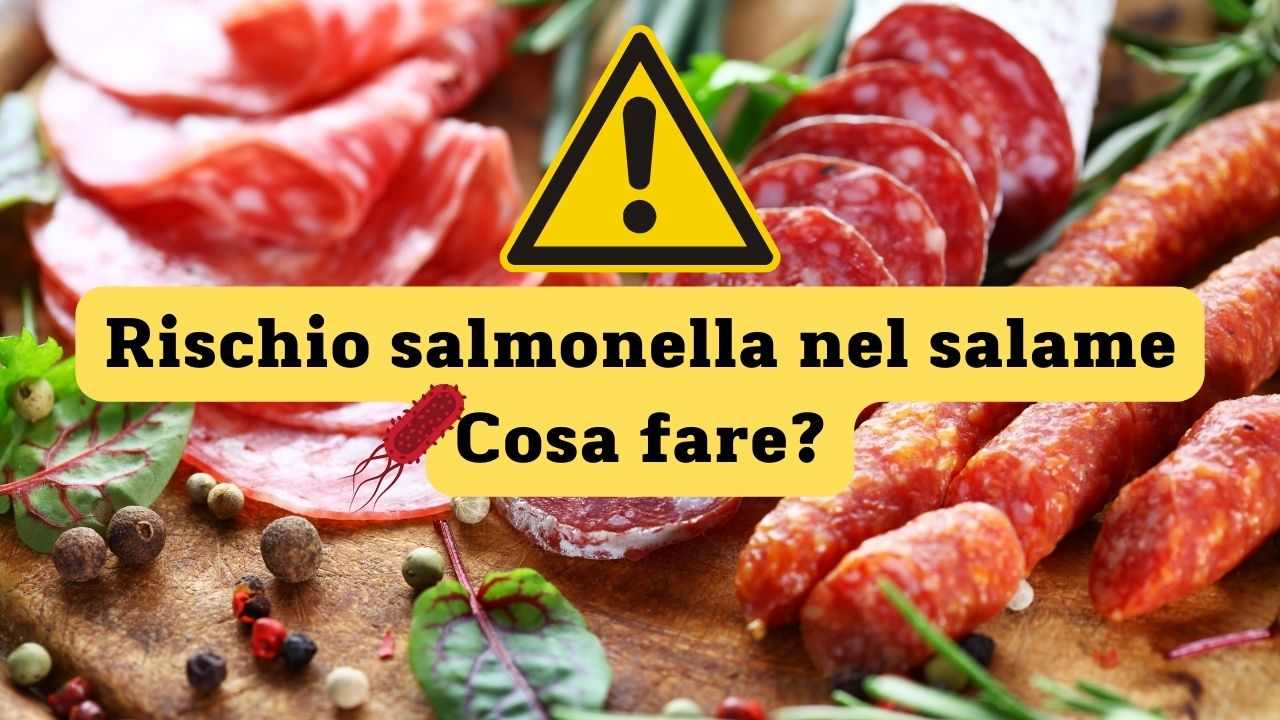 salame salmonella