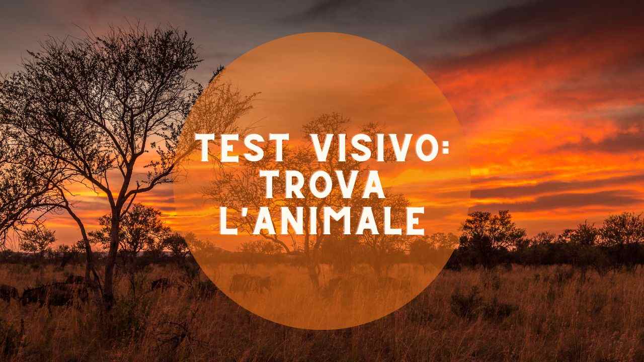 Test visivo animale