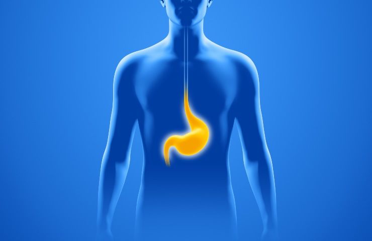 Stomaco effetti ingoiato gomma da masticare