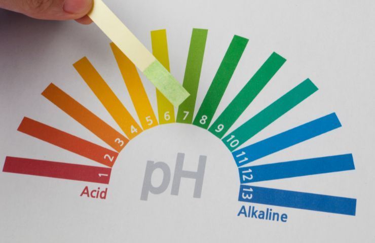 pH organismo equilibrio alcalino