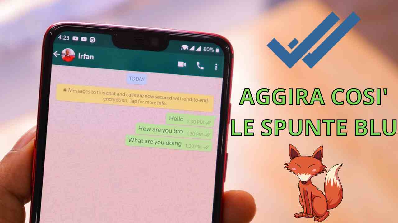 Whatsapp spunte blu