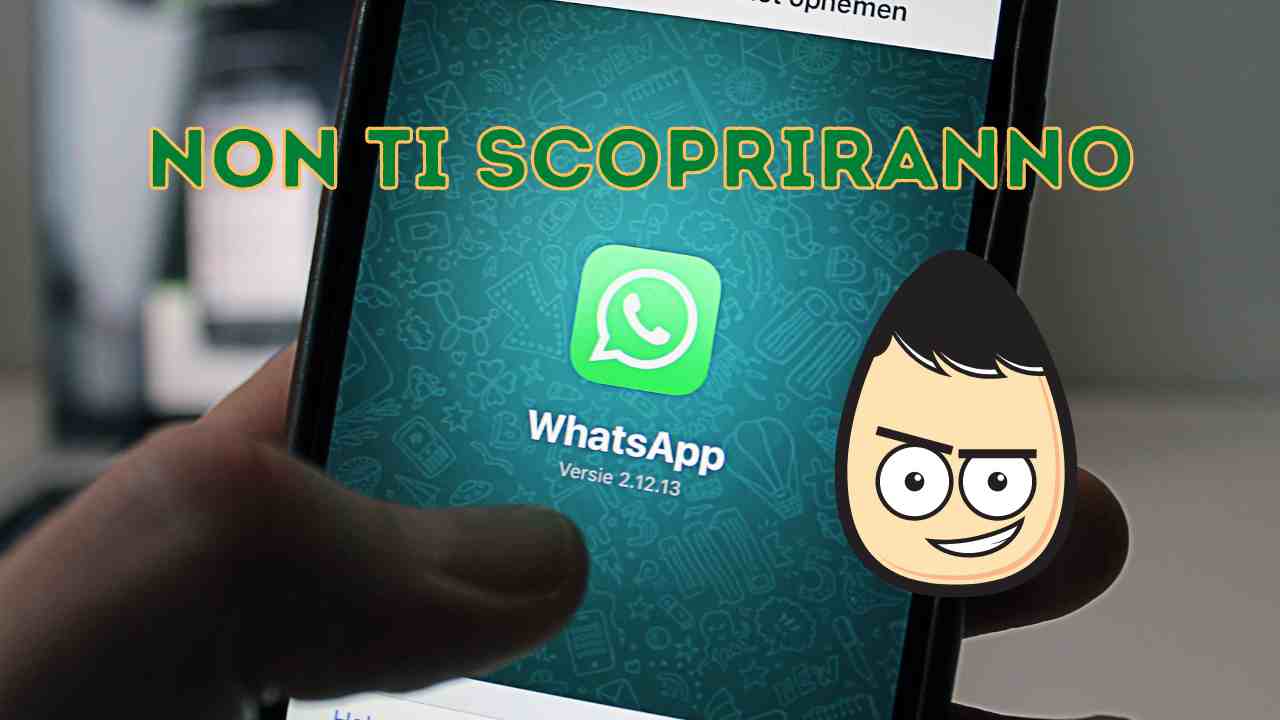 Una persona mentre utilizza Whatsapp