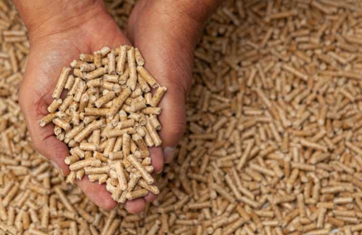 Una persona prende del pellet tra le mani