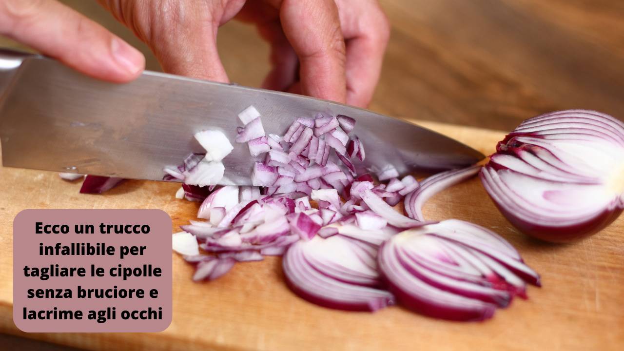 Tagliere In Bambù Senza Colla - Design A Libro, 24,4 X 17,5 Cm, Zero BPA, Ideale Per Alimenti Per Bambini, Frutta E Snack, Certificato FSC