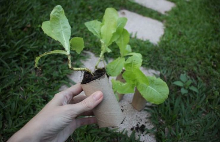 oggetti comune usi giardinaggio