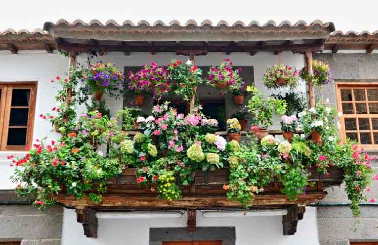 balcone fiorito febbraio