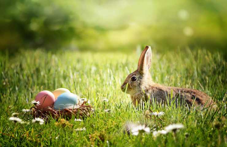 pasqua uova candela