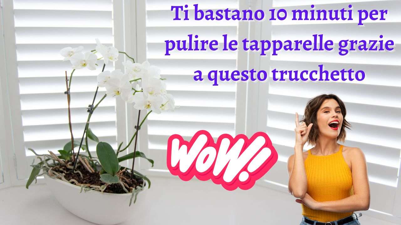 tapparelle pulizia facile