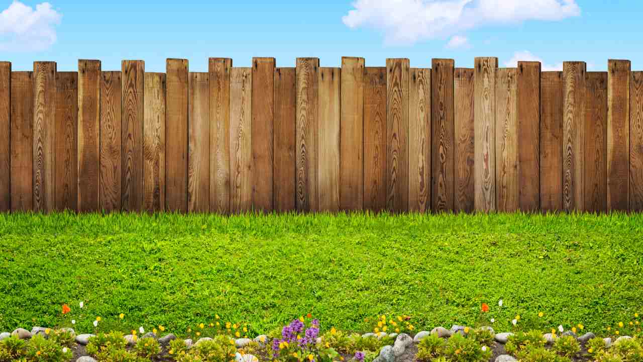 recinzione giardino economica