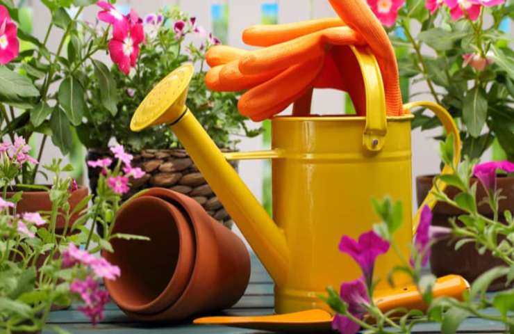 Annaffiatoio curare salute piante casa trucchi