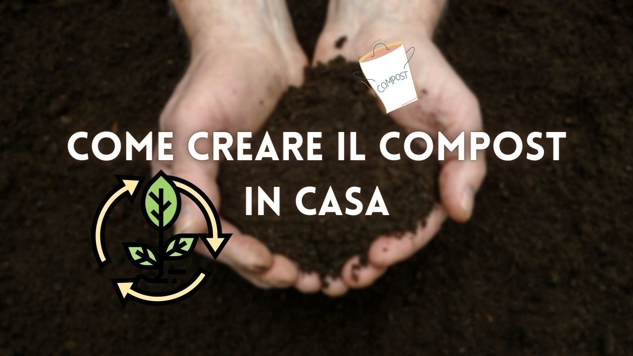 creare compost in casa