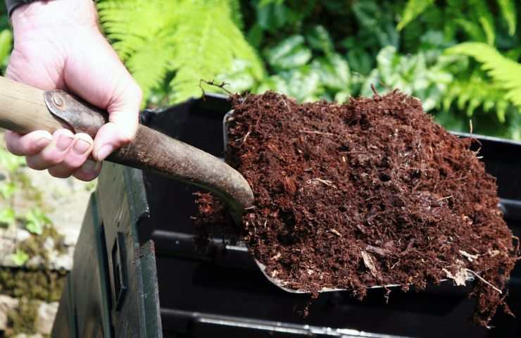 creare compost fai da te