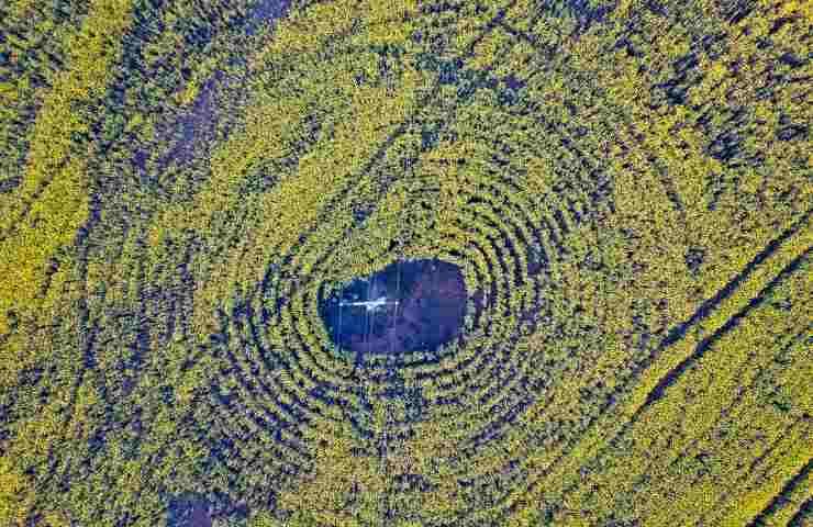 Dei cosiddetti crop circles