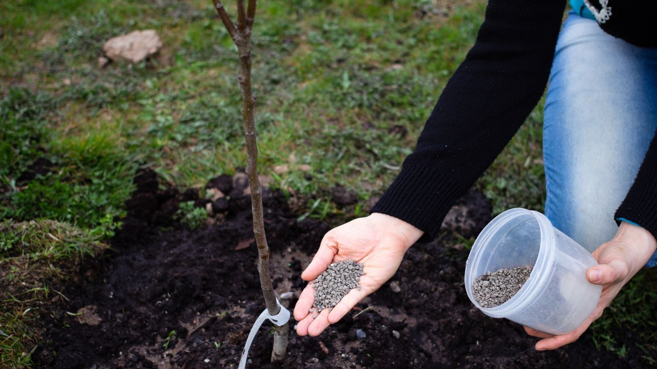 Fertilizzanti naturali