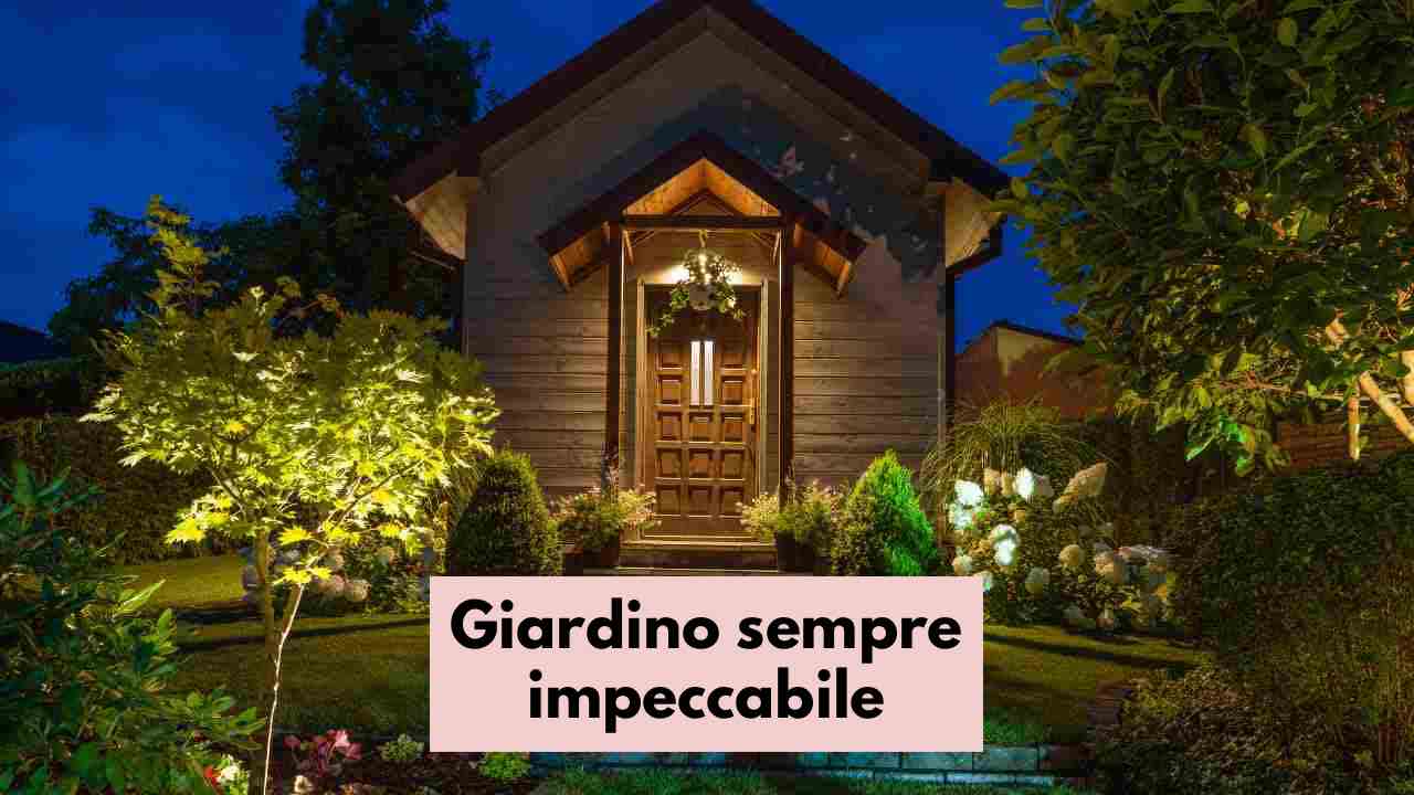 Come prendersi cura del giardino