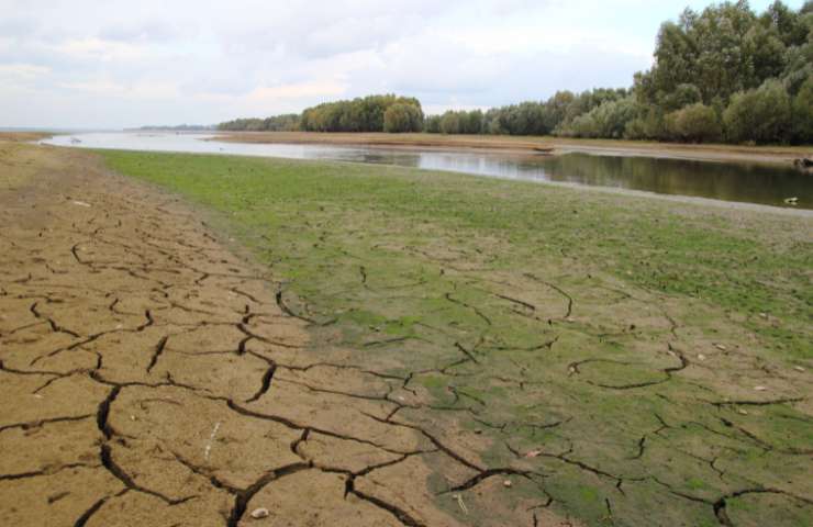 Gli effetti devastanti della siccità