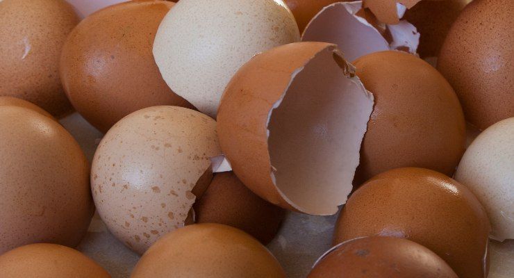 Gusci delle uova come riciclarli