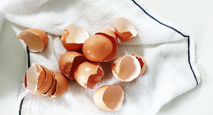 Come riciclare gusci delle uova