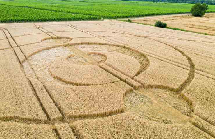 I crop circles in un campo in Francia